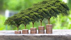 , GUATEMALA &#8211; Guatemala destaca en finanzas sostenibles de acuerdo con el IFS