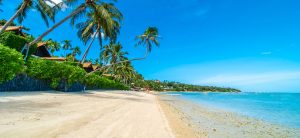 , Central America, Panama and the Dominican Republic project historic tourism statistics for 2024