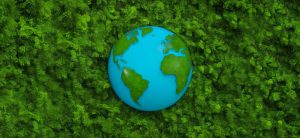 , The 15 Latin American Startups Transforming the Future with Sustainable Innovation