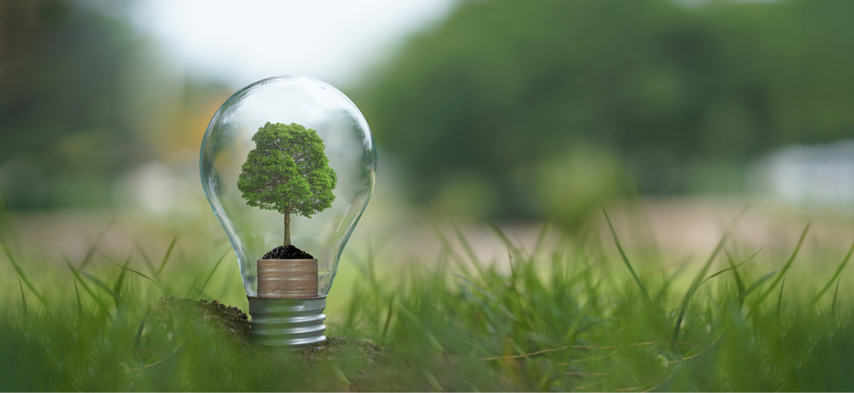Lee más sobre el artículo El Salvador aumenta el uso de energía renovable